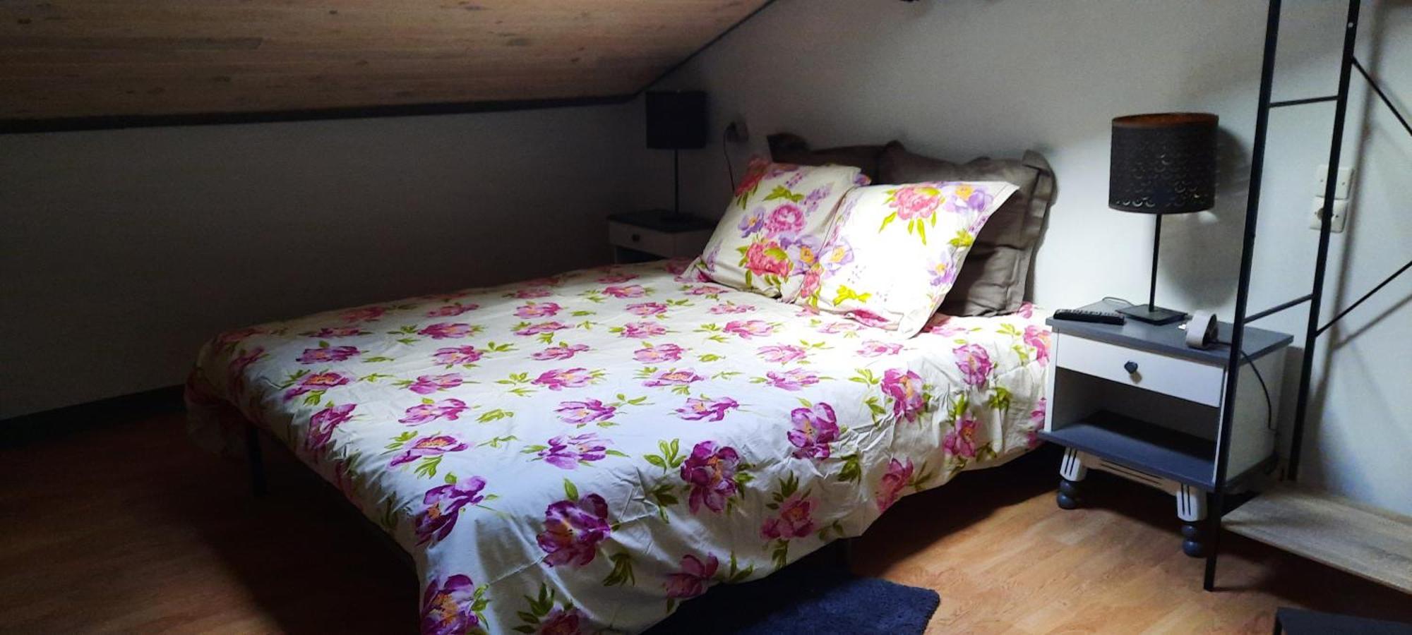 Bienvenue Chez Vous Lejlighed Le Puy-en-Velay Eksteriør billede